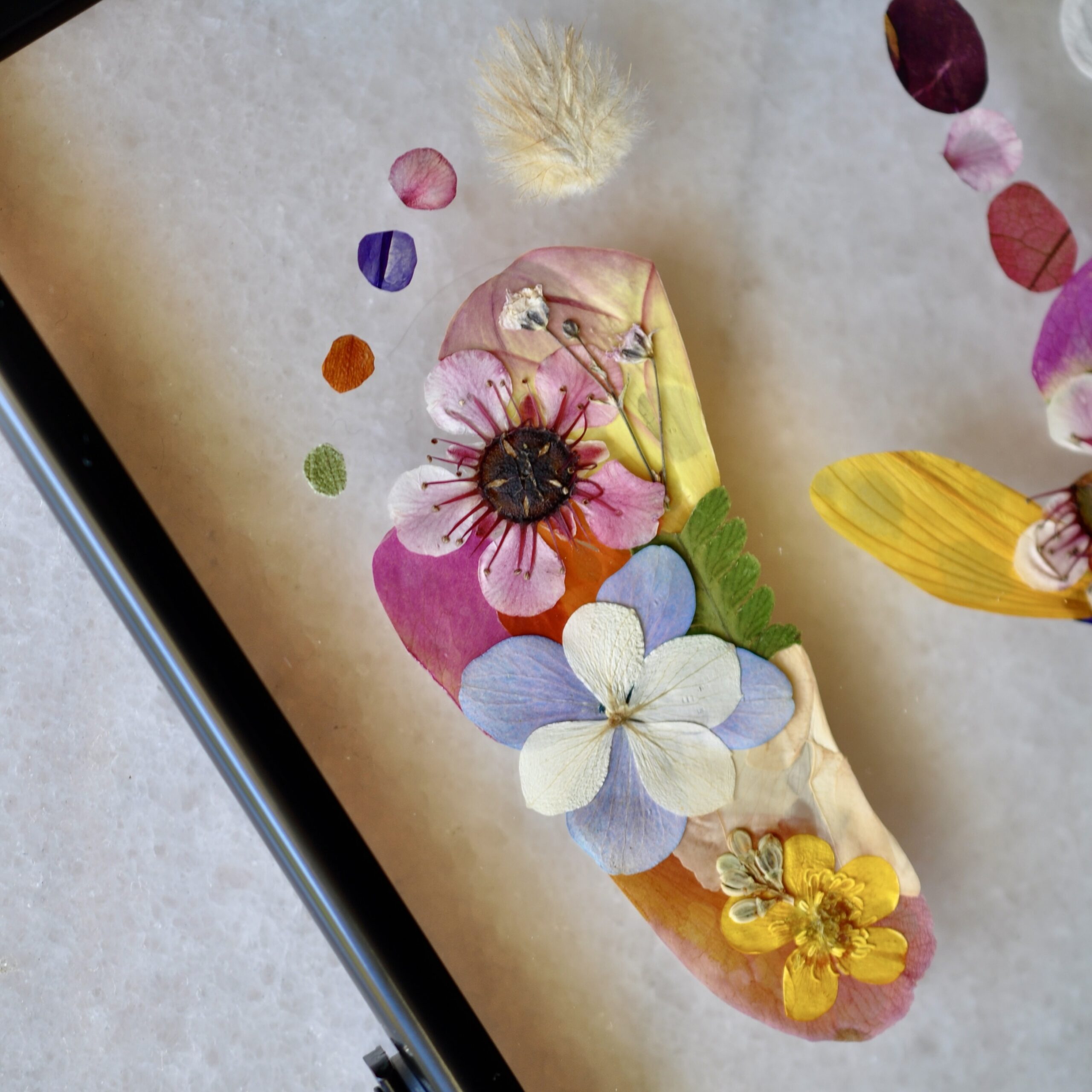Close-up of floral footprint