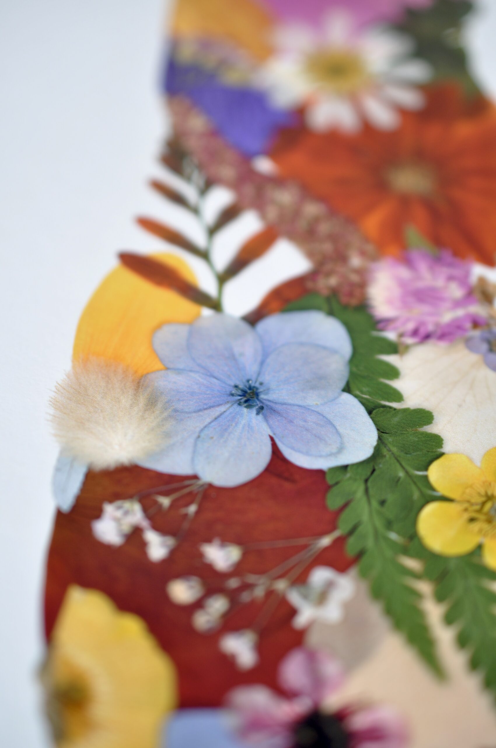 Close up of NZ Map Art Print out of pressed flowers