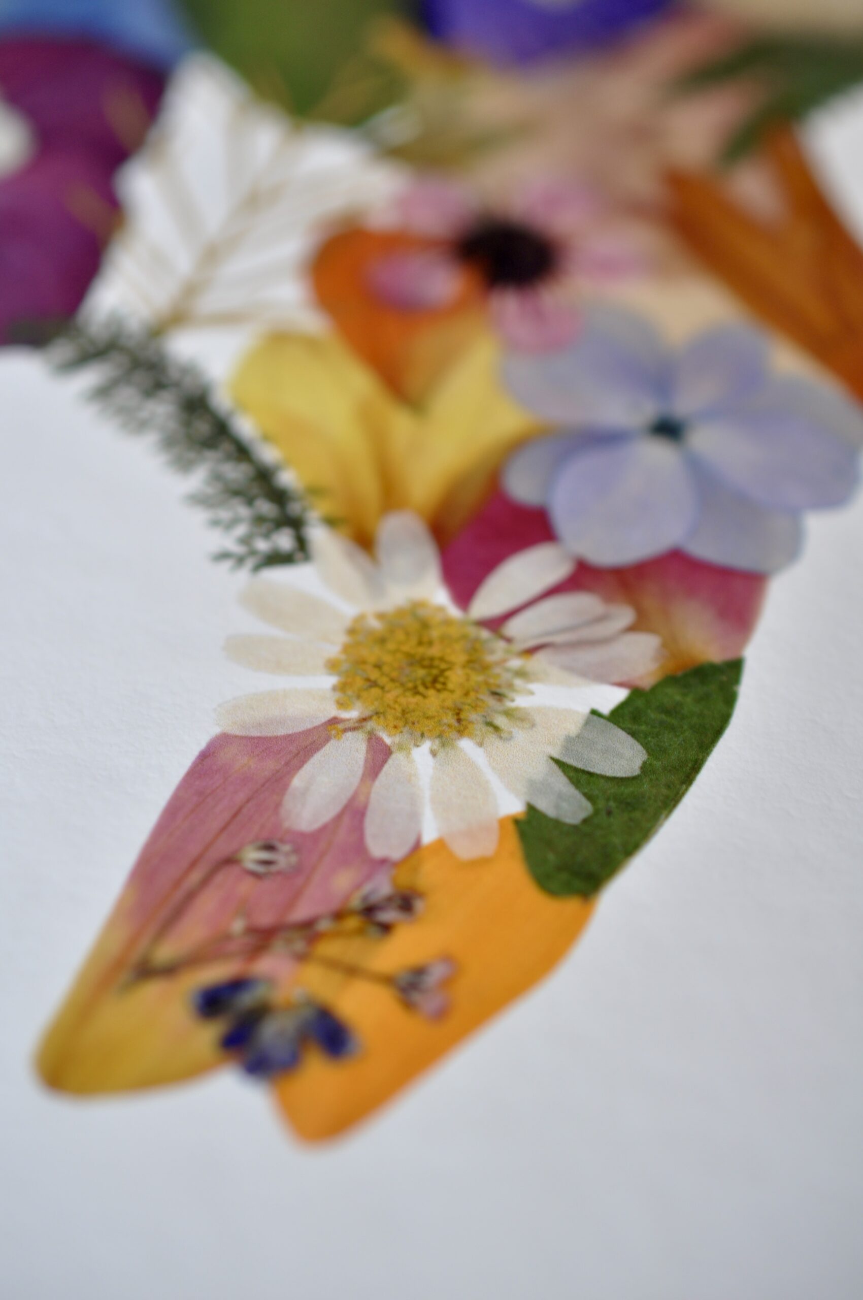 NZs beauty in one floral Artwork
