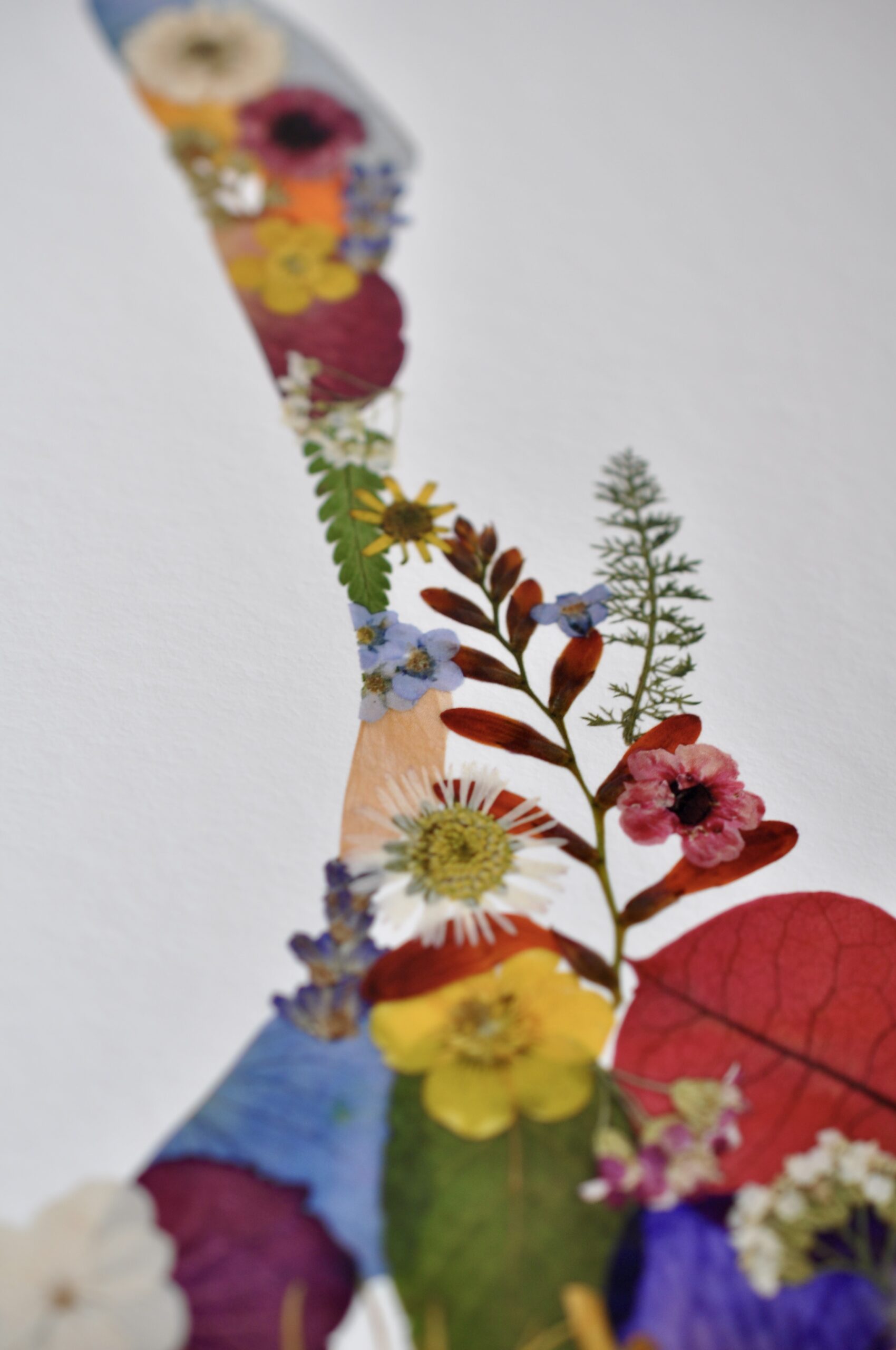 Vibrant Pressed Flowers in shape of New Zealand Map