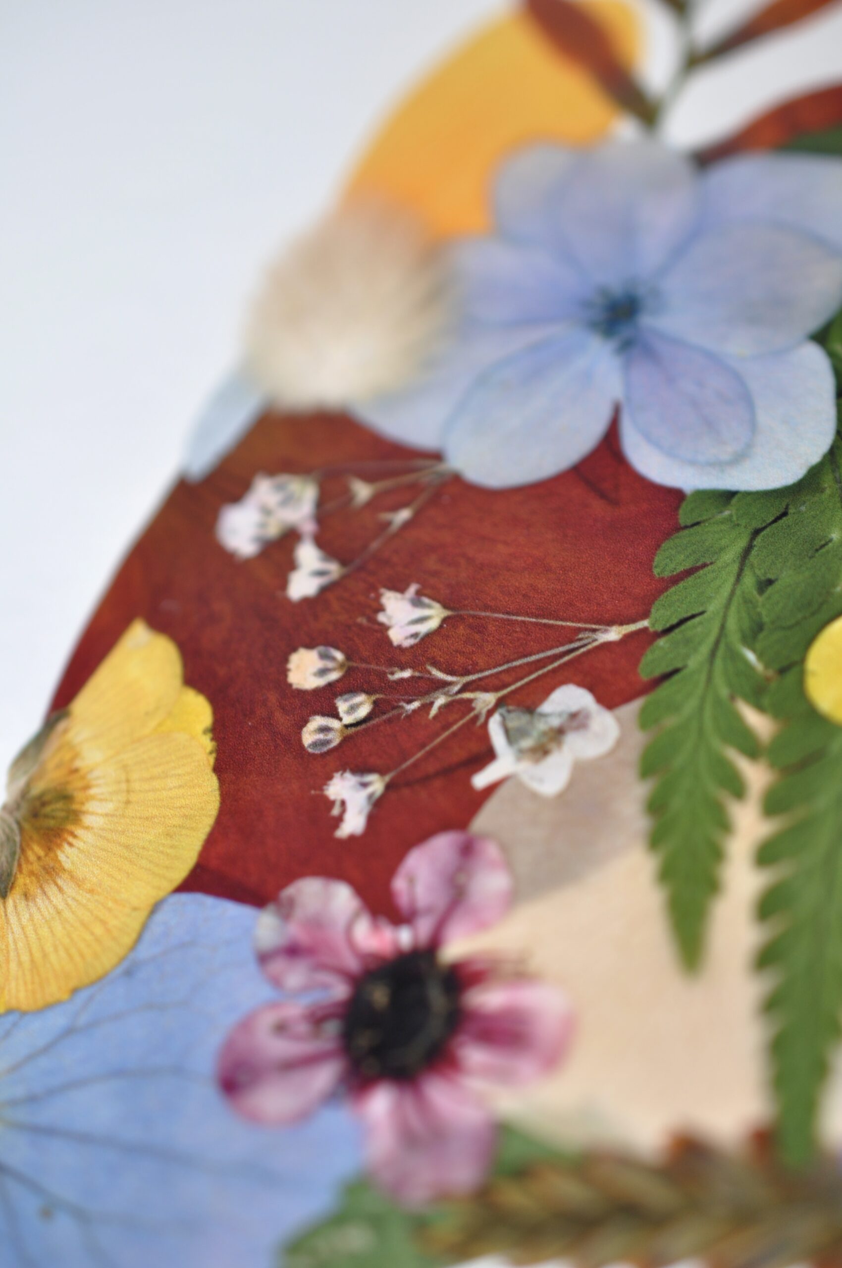 Pressed Flower Artwork