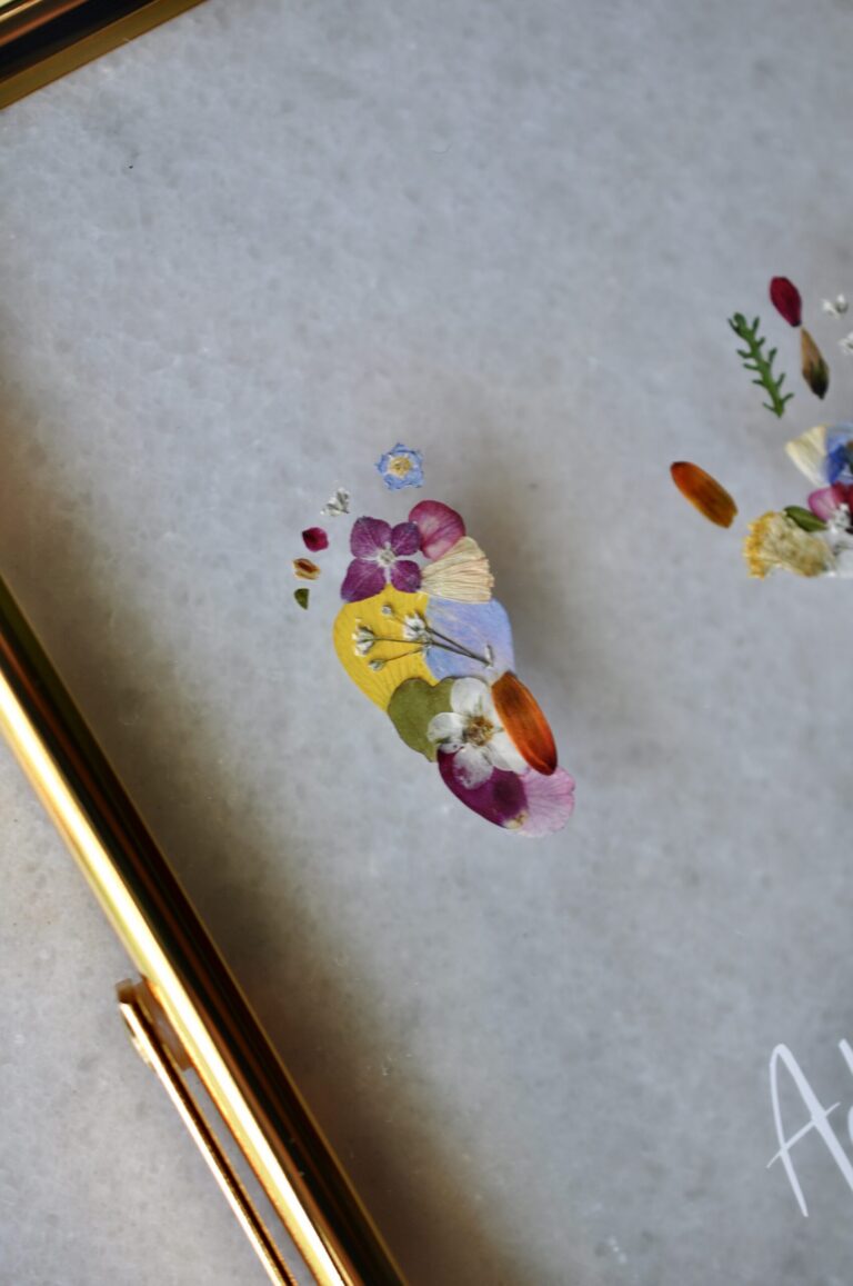 Close-up of 20 week baby foot out of pressed flowers
