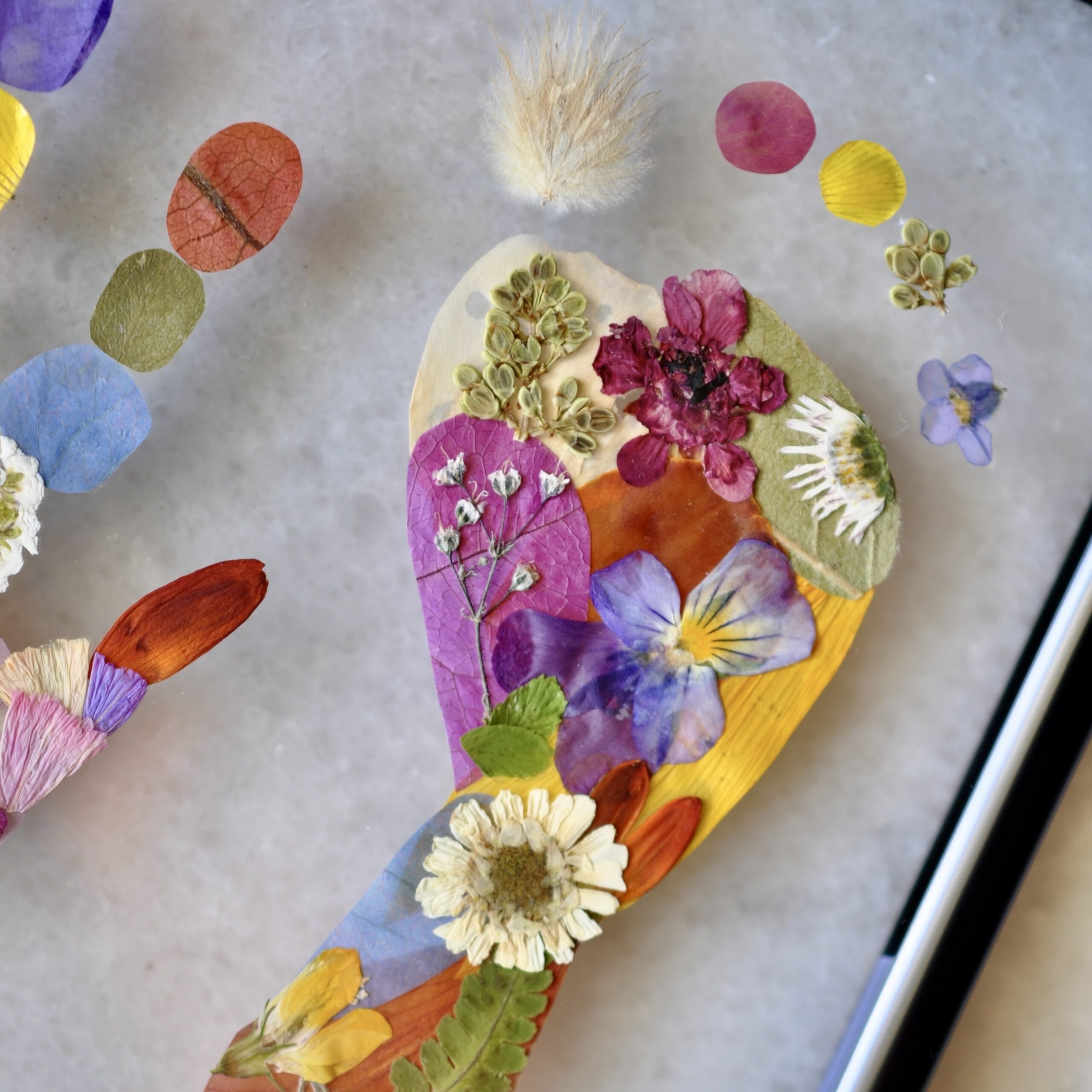 Close up of baby footprint out of pressed flowers