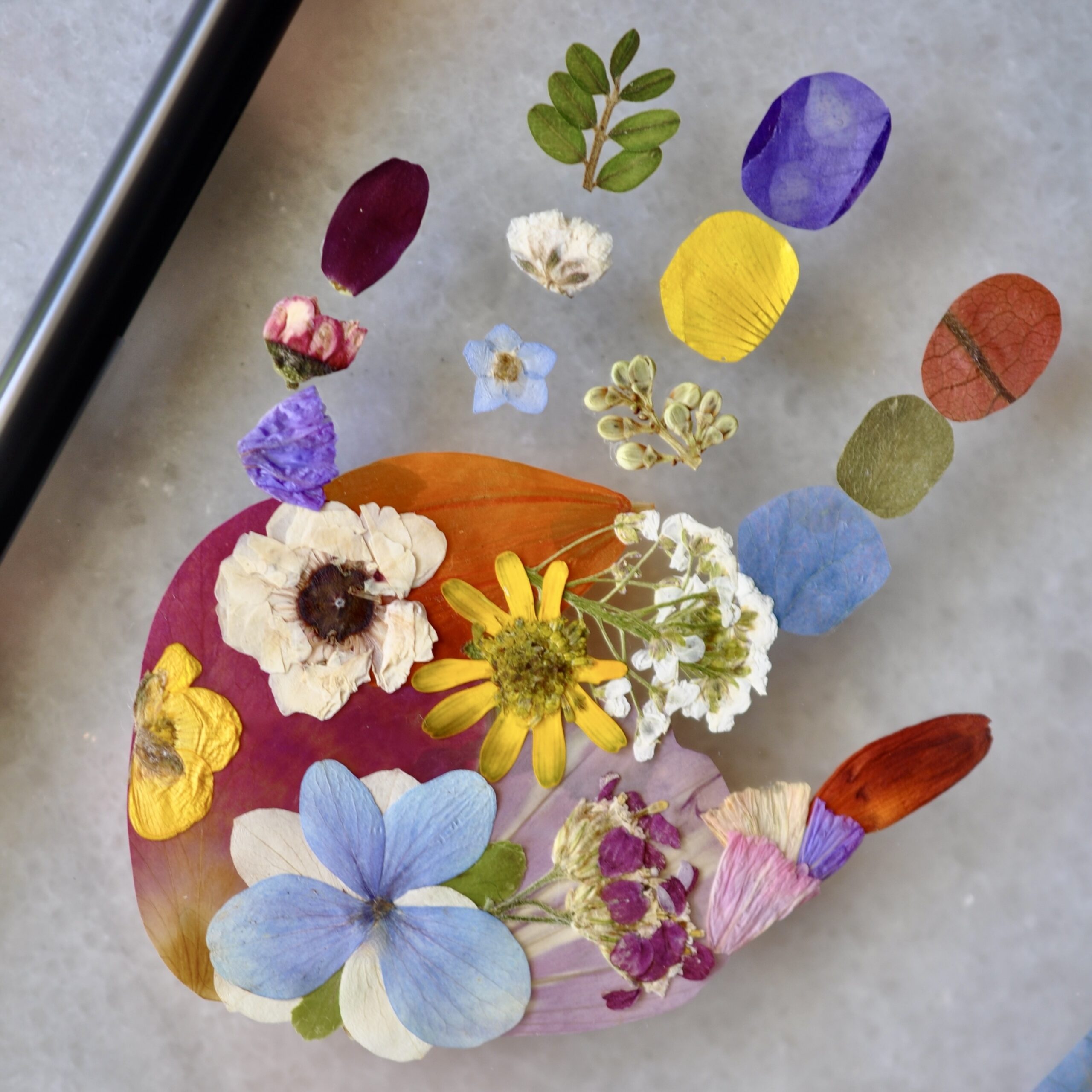 Close up of baby handprint out of pressed flowers