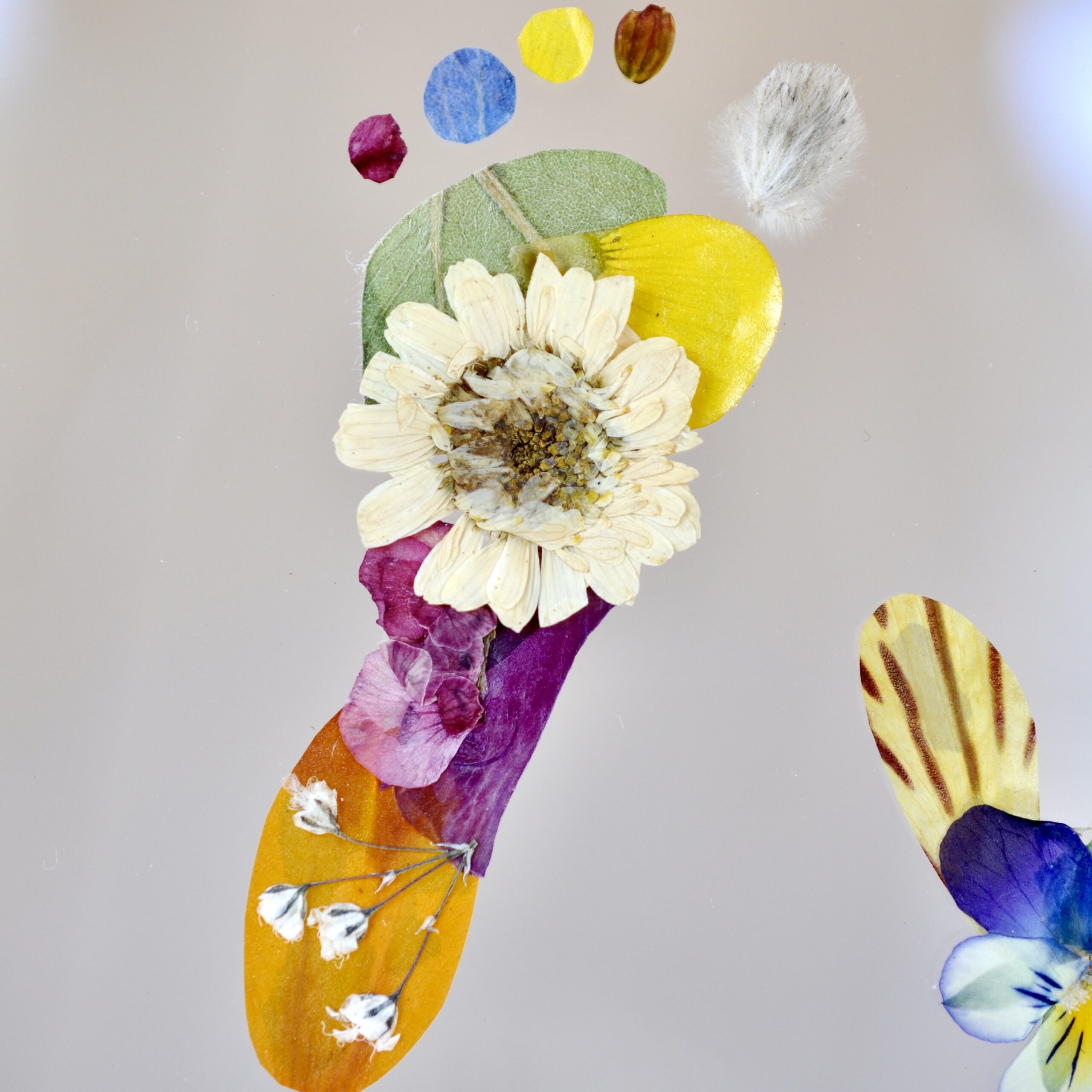 Baby Footprint made out of pressed Flowers