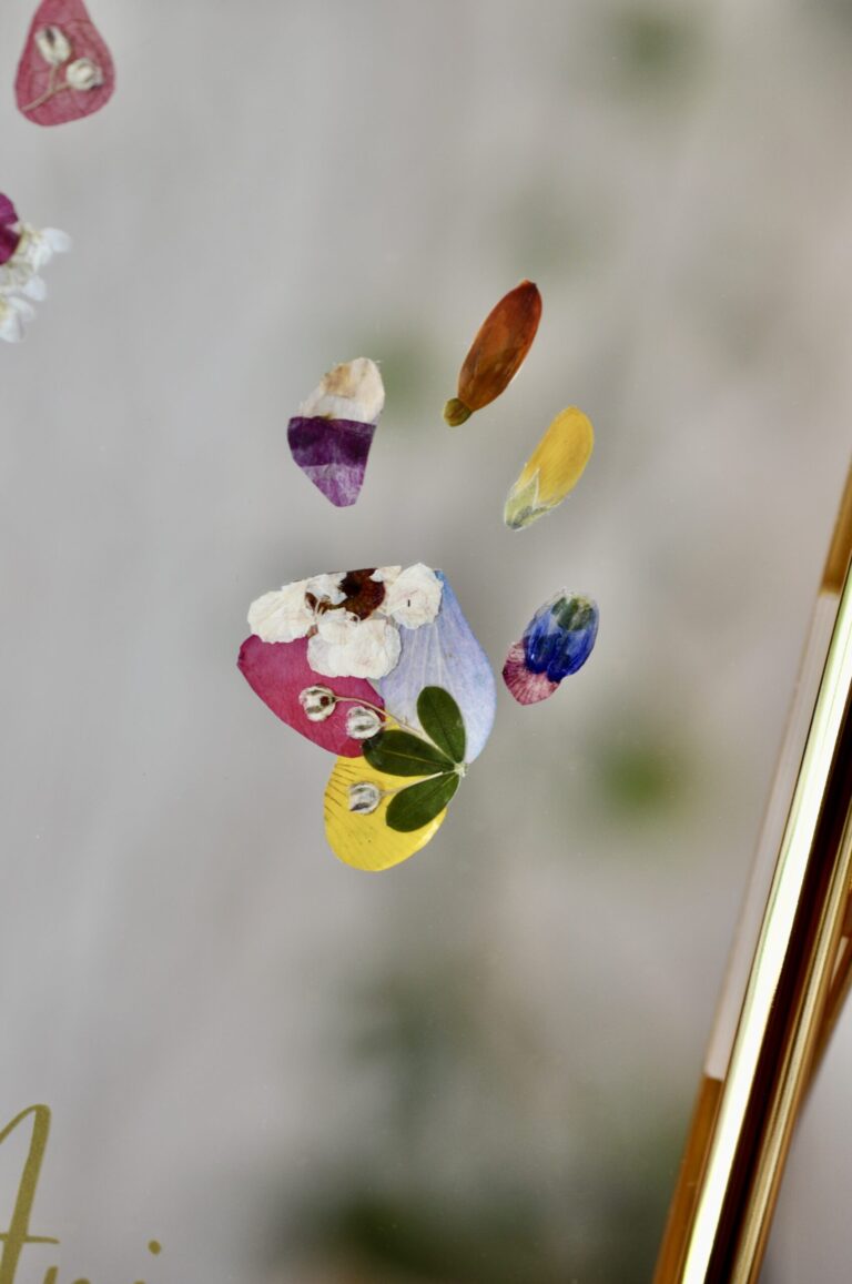 Close up of Cat paw made out of pressed flowers
